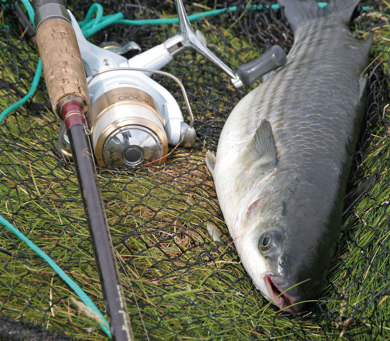 Fly Fishing For Carp - Tactics, Tackle and Tips - Hampshire Fishing