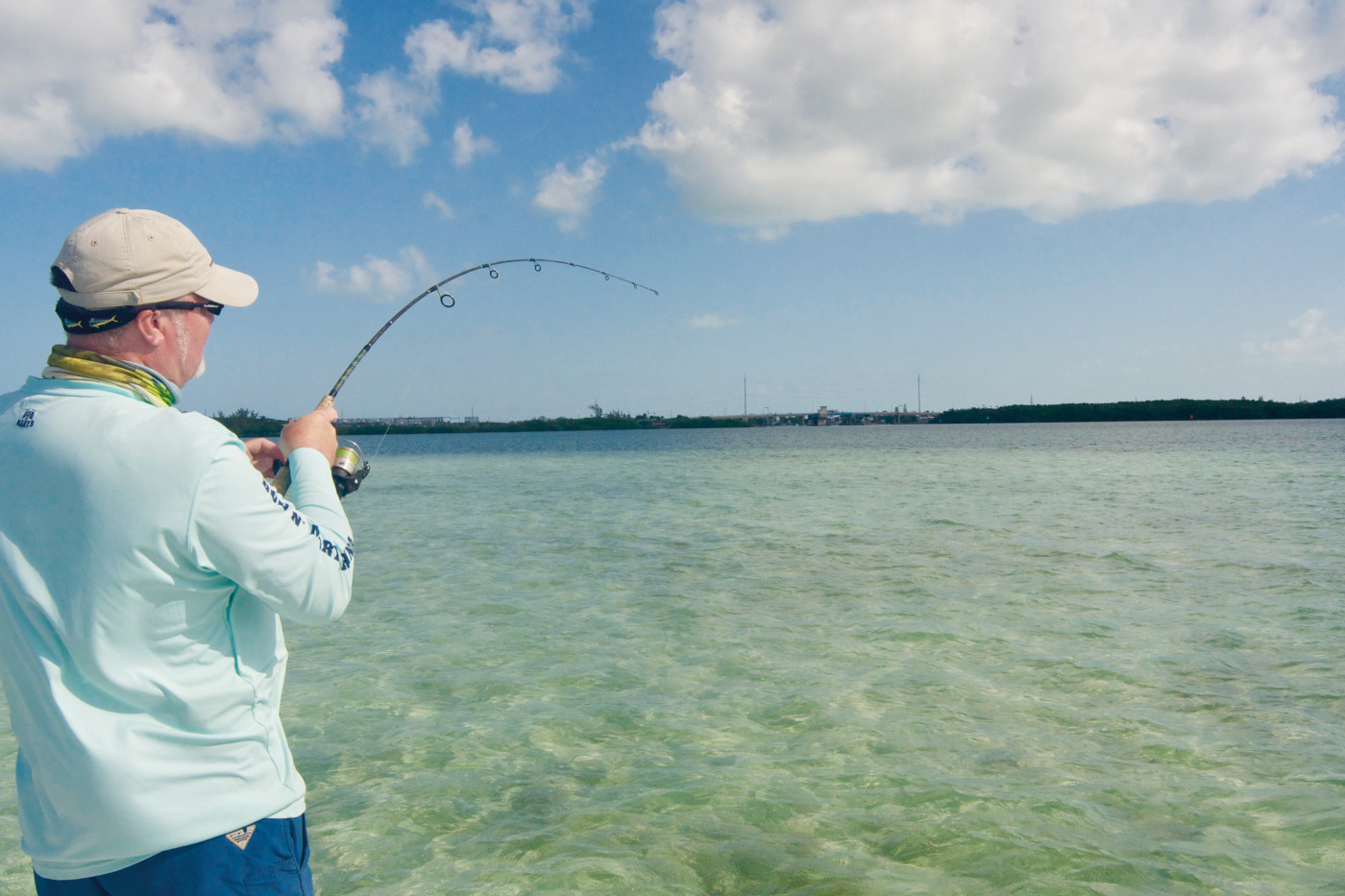 BAIT TEASER fishing reels EXPLAINED! 