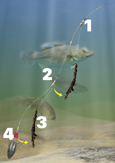 Best 3 Cod Fishing Rigs