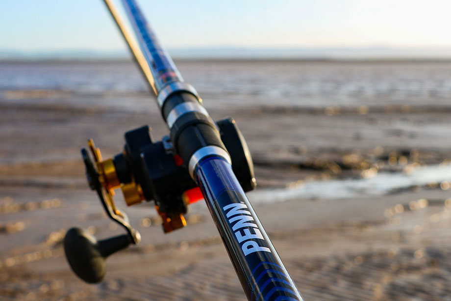 Best Surf Fishing Gear for 2024 