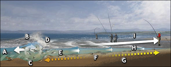Where to Surf Fish: Top Surf Fishing Locations 