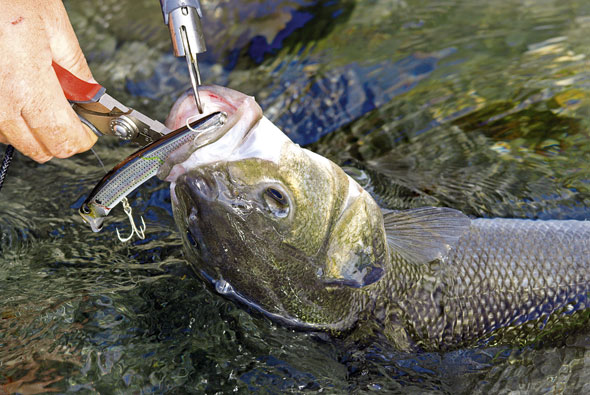 Mini Fish Lip Gripper,Fish Gripper Grip Tool Professional Fish