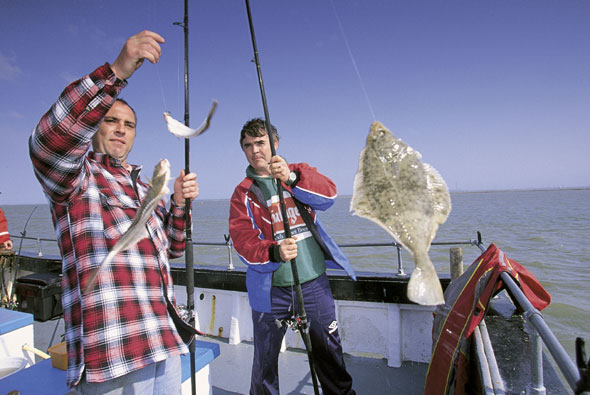 Boat Fishing for Flounders - SeaAngler