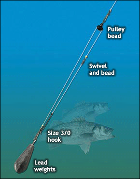 bass fishing rigs from shore